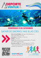 snorkel-en-cíes.jpg