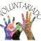 Acción voluntaria en actividade municipal