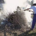 Medio Rural permite de novo as queimas